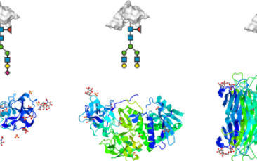 Cover image of Sweet solutions for detecting disease